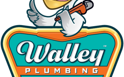 Emergency Plumbing: What to Do Before the Plumber Arrives