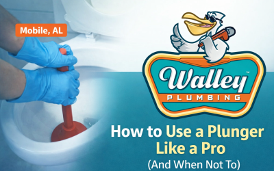 How to Use a Plunger Like a Pro (and When Not To)